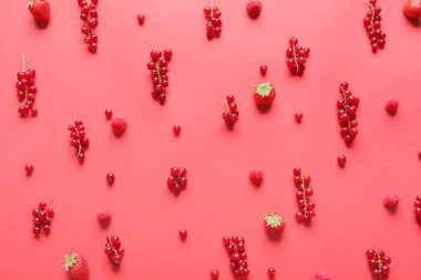 Renkli arkaplanda farklı meyveler