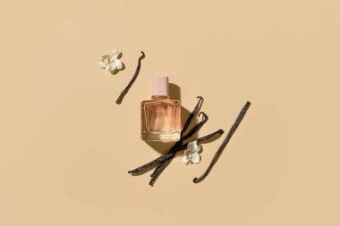 Renkli arkaplanda zarif bir parfüm şişesi olan kompozisyon