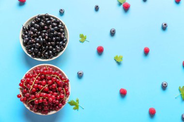 Renkli arkaplanda farklı olgun böğürtlen kompozisyonu