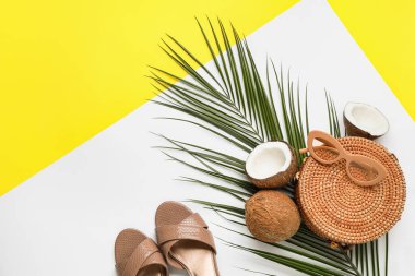 Kadın aksesuarları, olgun hindistan cevizleri ve renk arka planında palmiye yaprağı.