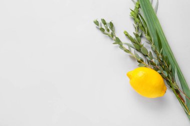 Beyaz arkaplanda Sukkot festivali simgeleri