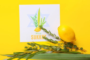 Renk arkaplanına Sukkot festival simgeleri ve tebrik kartı