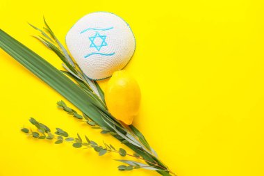 Renk arkaplanındaki Sukkot festival simgeleri