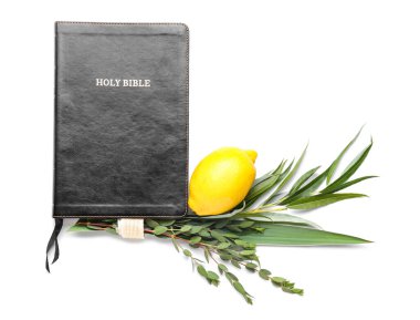 Beyaz arka planda Sukkot festival sembolleri ve İncil