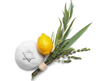 Beyaz arkaplanda Sukkot festivali simgeleri