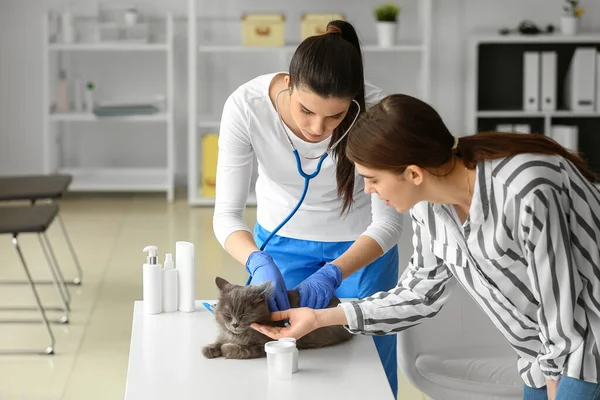 Mujer Con Gato Clínica Veterinaria — Foto de Stock