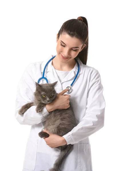 Veterinário Feminino Segurando Gato Bonito Fundo Branco — Fotografia de Stock