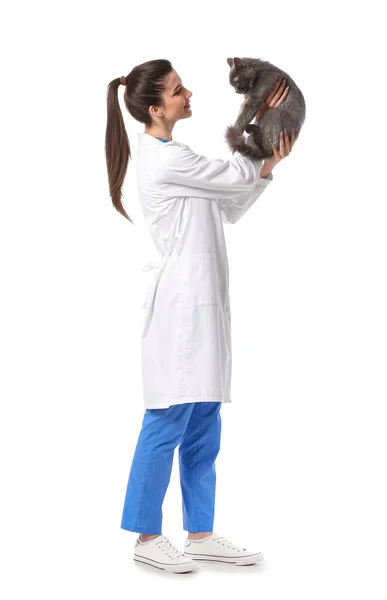 Female Veterinarian Holding Cute Cat White Background — Stock Photo, Image
