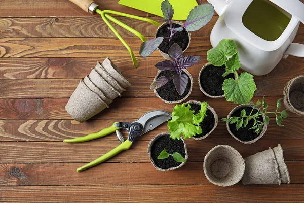 Plants Seedlings Peat Pots Gardening Tools Wooden Background — Stock Photo, Image