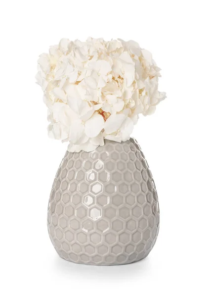 Hydrangea Flower Stylish Vase White Background — Stock Photo, Image