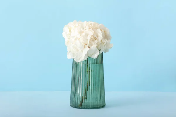 Stilvolle Vase Mit Hortensie Auf Farbigem Hintergrund — Stockfoto