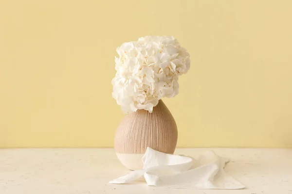 Stylish Vase Beautiful Hydrangea Flowers Color Wall — Stock Photo, Image
