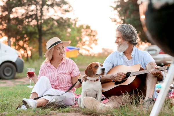 Happy senior couple with dog at picnic on summer day
