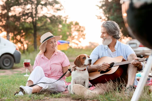 Pareja Mayor Feliz Con Perro Picnic Día Verano —  Fotos de Stock