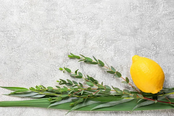 Işık arkaplanda Sukkot festivali simgeleri