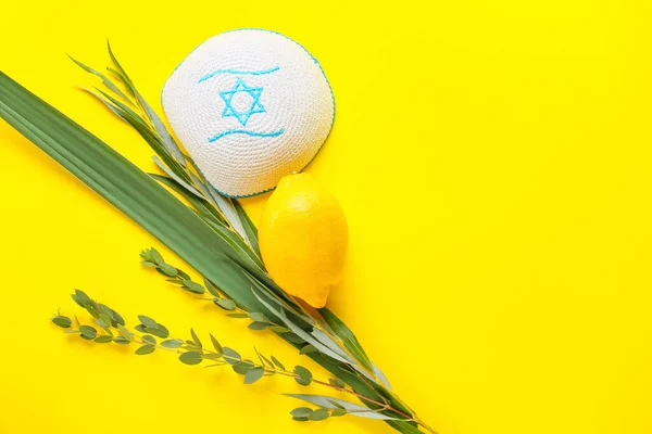 Σύμβολα Φεστιβάλ Sukkot Στο Φόντο Χρώματος — Φωτογραφία Αρχείου