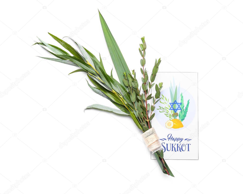 Sukkot festival symbols and greeting card on white background