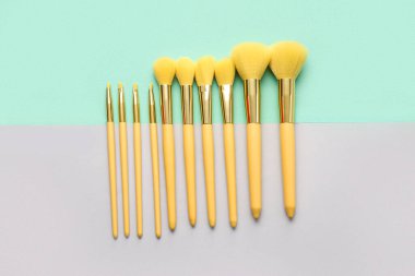 Renkli arkaplanda farklı güzel makyaj fırçaları