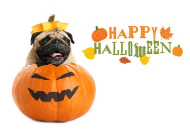 Mutlu Cadılar Bayramı kutlamaları için tebrik kartı.