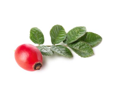 Beyaz arka planda olgun gül böğürtlen