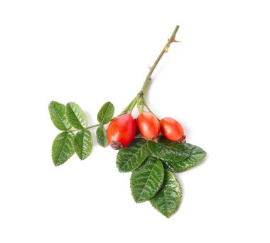 Beyaz arka planda yaprakları olan olgun gül kalçası meyveleri.