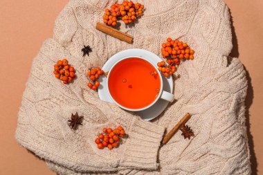 Renkli arkaplanda bir fincan lezzetli rowan çayı, böğürtlen ve baharat kompozisyonu