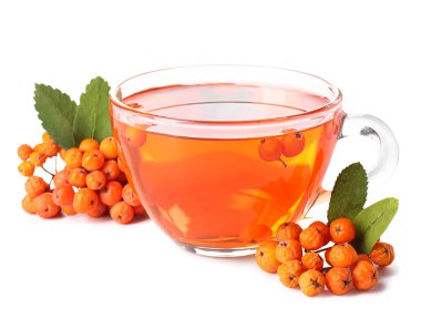 Beyaz arka planda bir bardak sıcak rowan çayı ve böğürtlen.