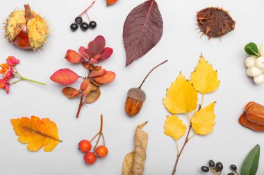 Beyaz arkaplanda düşen yapraklarla sonbahar kompozisyonu, yakın plan