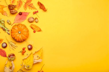 Olgun balkabağı ve düşmüş yapraklarla güzel sonbahar kompozisyonu, yakın plan.