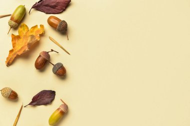 Arkaplanda meşe palamudu ve kuru yapraklarla sonbahar kompozisyonu