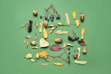 Arka planda meşe palamudu, böğürtlen ve orman dekoru ile güzel sonbahar kompozisyonu