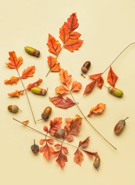 Arkaplanda meşe palamutları ve kuru yapraklar