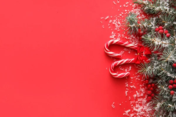 Composition Fir Branches Berries Candy Canes Snow Red Background Closeup — Stock Photo, Image