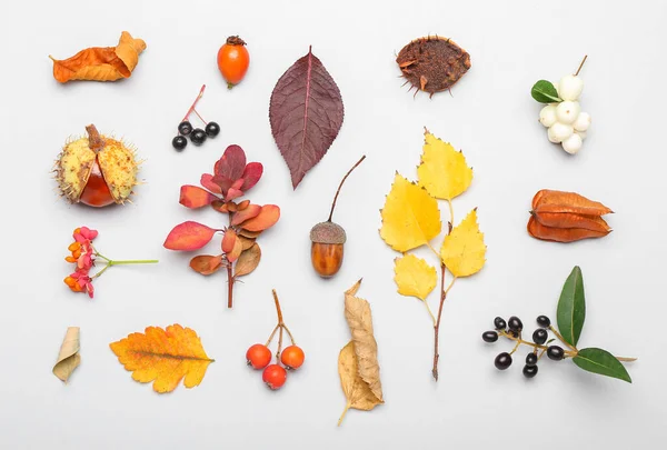 Composición Otoñal Con Hojas Caídas Sobre Fondo Blanco —  Fotos de Stock