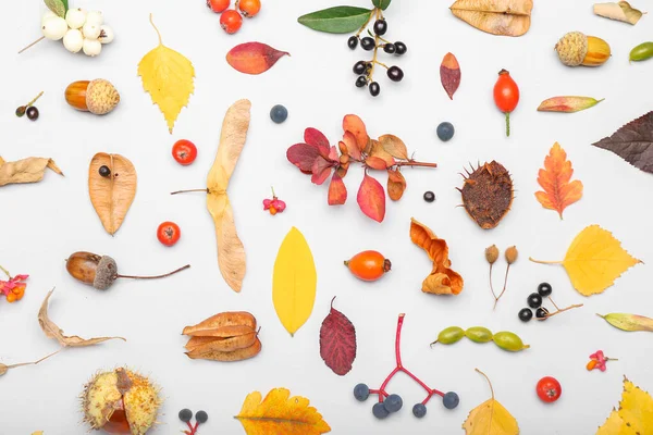 Autumn Composition Fallen Leaves White Background Closeup — Stock Photo, Image