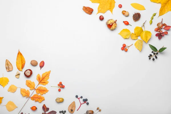 Composición Otoñal Con Decoración Natural Del Bosque Sobre Fondo Blanco — Foto de Stock