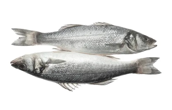 Свіжі Неварені Морські Басові Риби Білому Тлі — стокове фото