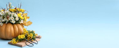 Renkli arkaplanda balkabağında güzel bir sonbahar buketi ve metin için boşluk