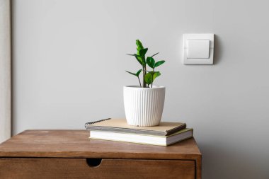 Işık duvarının yanındaki masada kitap saksısı var.