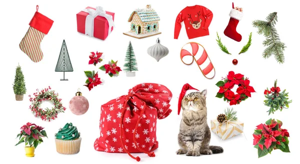 Karácsonyi Kollázs Aranyos Macska Mikulás Táska Fehér Háttér — Stock Fotó