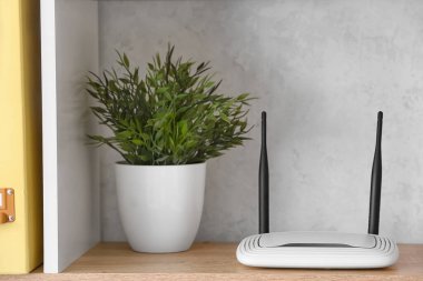 Modern wi-fi yönlendirici ve ev bitkisi ışık duvarının yanında rafta.