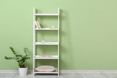 Renk duvarına yakın kitap, dekor ve bitki içeren şık raf ünitesi