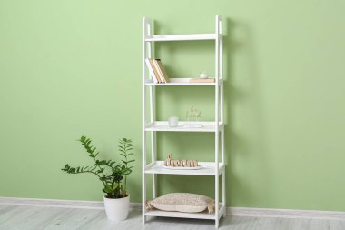 Renk duvarına yakın kitap, dekor ve bitki içeren şık raf ünitesi