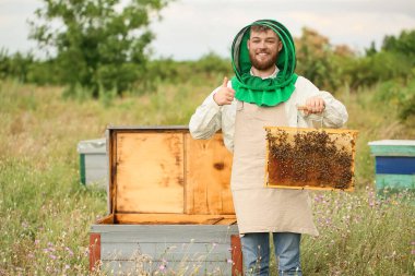 Arı kovanında çalışan mutlu arıcı.