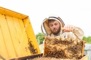 Arı yetiştiricisi arıcıda çalışıyor.