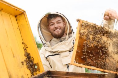Arı yetiştiricisi arıcıda çalışıyor.
