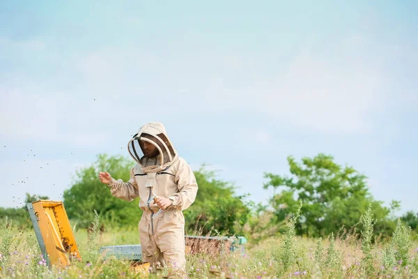 Méhész Aki Méhészetében Dolgozik — Stock Fotó