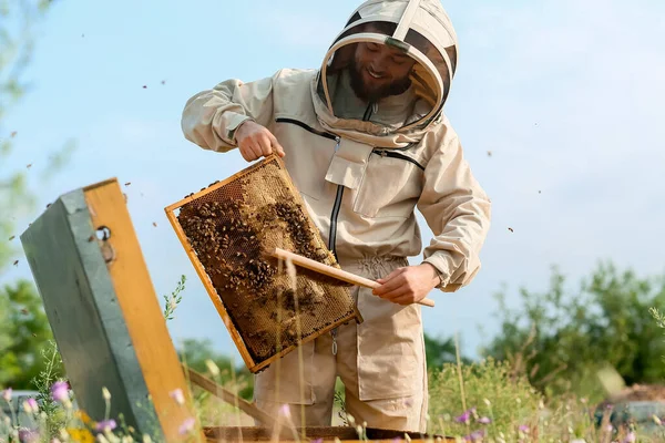 Beekeeper Working His Apiary — Stock Photo, Image