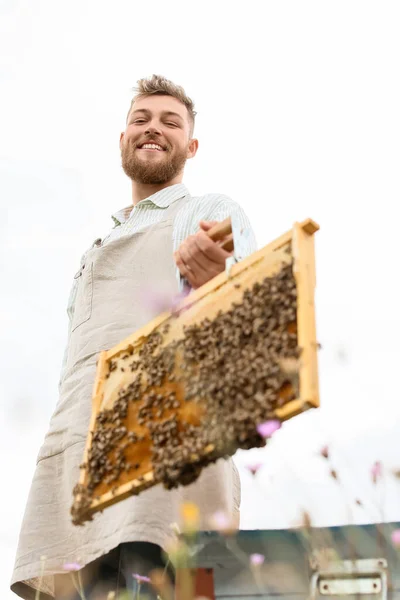 養蜂家とともに蜂蜜のフレームにApiary — ストック写真