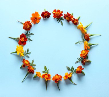 Renkli arkaplanda güzel kadife çiçeklerinden yapılmış çerçeve